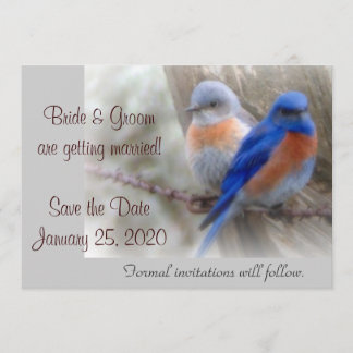 Anuncios de Boda Bluebird