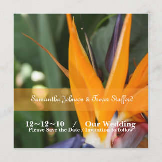 Anuncios de Boda de Ave del Paraíso Tropical