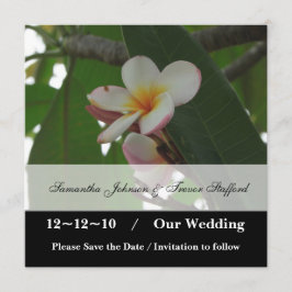 anuncios de Frangipani Wedding Save the Date