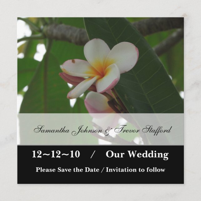 anuncios de Frangipani Wedding Save the Date (Anverso)