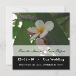 anuncios de Frangipani Wedding Save the Date