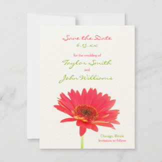 Anuncios de Gerbera Daisy Save the Date