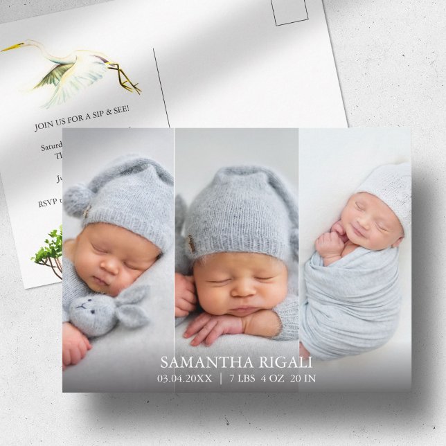 Anuncios de nacimiento de foto 3 de Garza Blanca G (Birth announcements cards 3 photo and watercolor white heron and mangroves Victoria Grigaliunas)