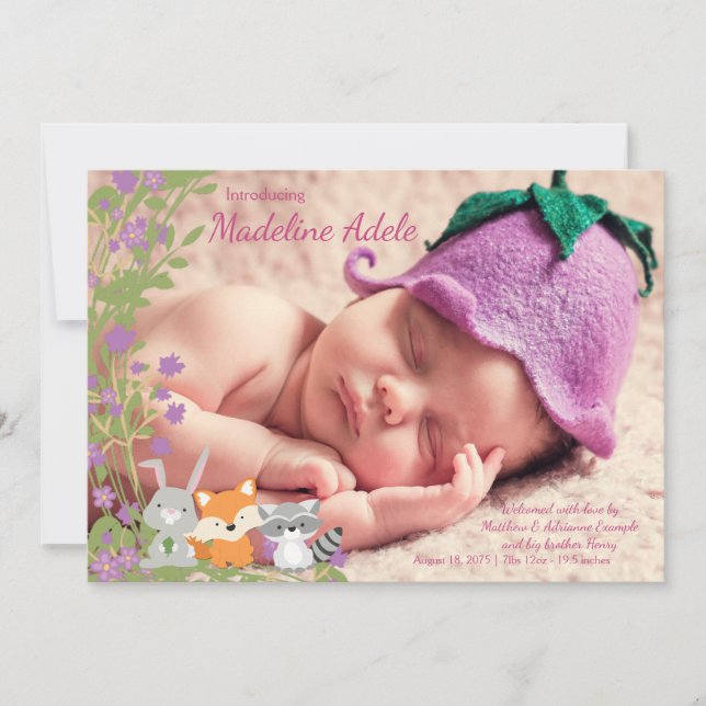 Anuncios de nacimiento en el bosque (Anverso)