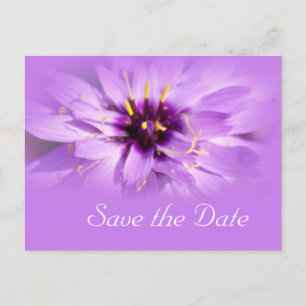 Anuncios Elegante flor de margarita violeta salva la postal