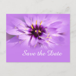 Anuncios Elegante flor de margarita violeta salva la postal