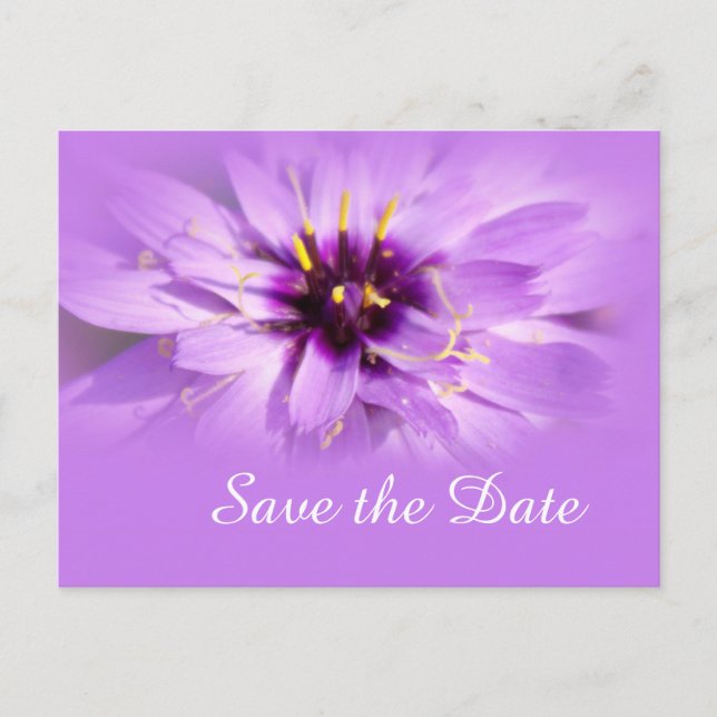 Anuncios Elegante flor de margarita violeta salva la postal (Anverso)