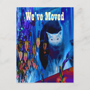 Anuncios Gato Siamés azul moviendo nueva postal de direcció