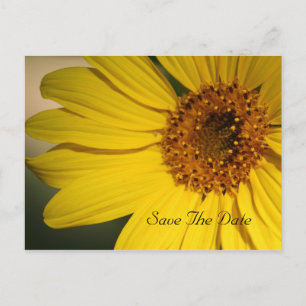 Anuncios Girasol Guardar la postal de fecha