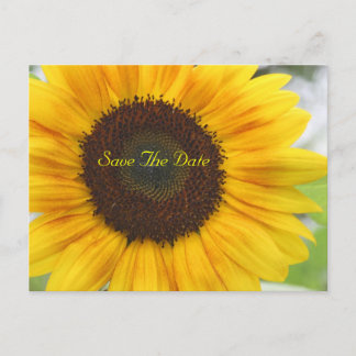 Anuncios Girasol Guardar la postal de fecha