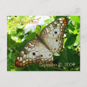 Anuncios Guardar la fecha mariposa en postal de jazmín