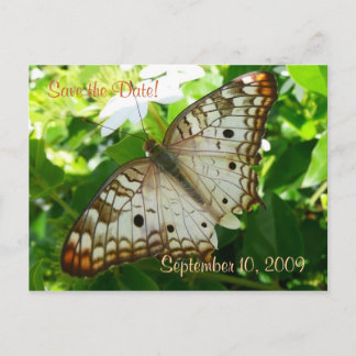 Anuncios Guardar la fecha mariposa en postal de jazmín