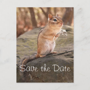 Anuncios Guardar la postal de fecha de Chipmunk