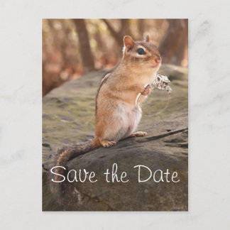 Anuncios Guardar la postal de fecha de Chipmunk