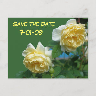 Anuncios Guardar la postal de la foto de las flores de los 