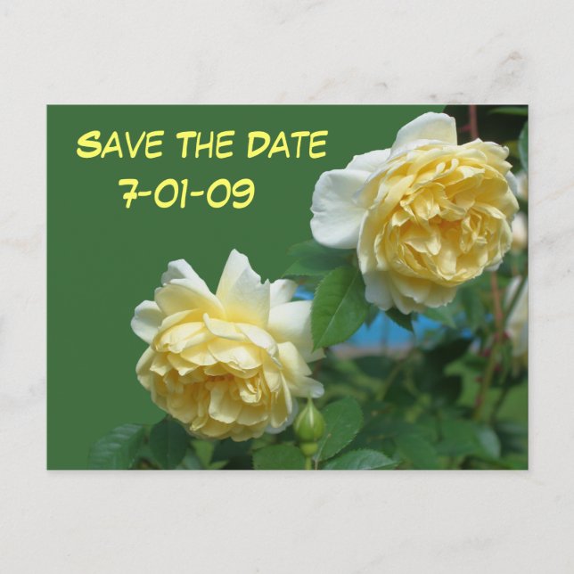 Anuncios Guardar la postal de la foto de las flores de los  (Anverso)