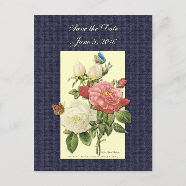 Anuncios Guardar la postal de las rosas rojas blancas (Anverso)