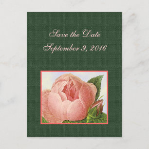 Anuncios Guardar la postal de Rosas botánicos rosados
