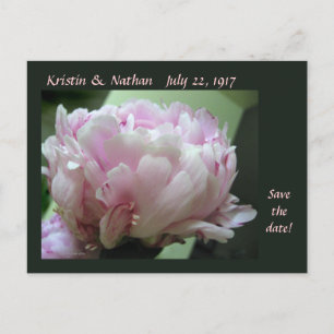 Anuncios Guardar la postal del Boda del Peony Rosa de fecha