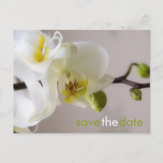 Anuncios Orquídea Blanca ・ Guardar la postal de fecha