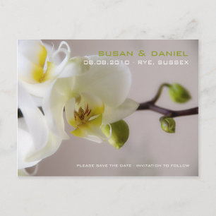 Anuncios Orquídea Blanca ・ Guardar la postal de fecha