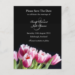 Anuncios Pink Tulip Guardar la postal de fecha