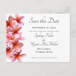 Anuncios Plumeria rosa salva la postal blanca de fecha