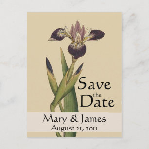 Anuncios Vintage Botanicals Iris Guardar postal de fecha