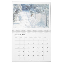 Anza, California, Calendario de Doce Meses