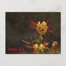 Anza, postal CA