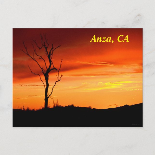 Anza, postal de California (Anverso)