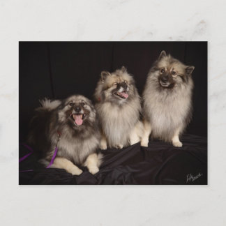 Apache dice una postal de Chiste