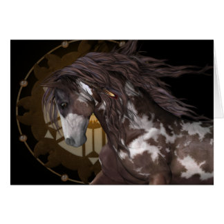 Apache .. el stallion