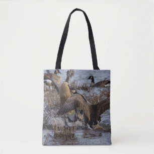 Apagarse la bolsa de la tota