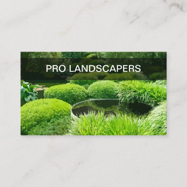 Apaisado profesional Tarjetas de visita de negocio (Anverso)