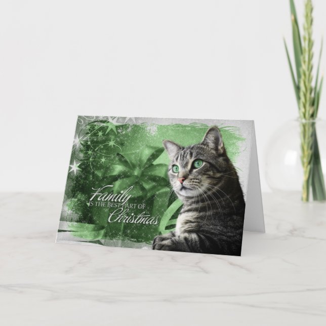 APAL - Gato de Tabby de plata del navidad (Anverso)