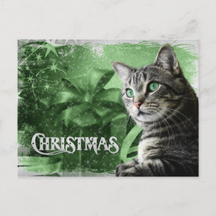 APAL - Gato de Tabby de plata del navidad
