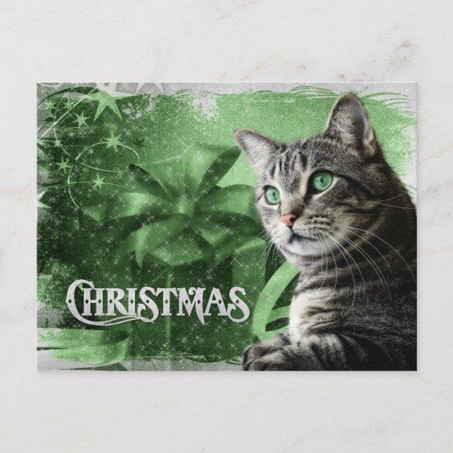 APAL - Gato de Tabby de plata del navidad (Anverso)