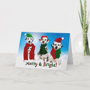 APAL - Perros dálmatas del navidad en la nieve