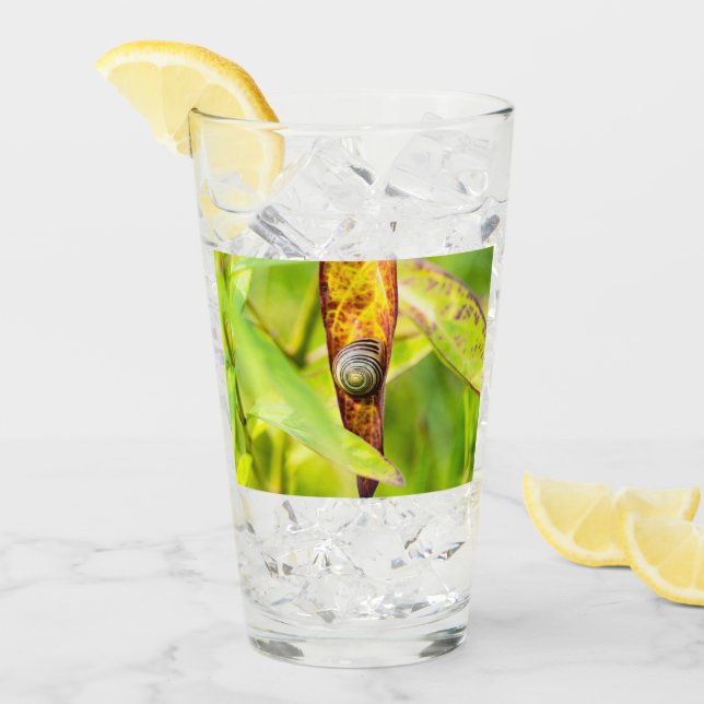 apego tranquilo (Anverso (hielo))