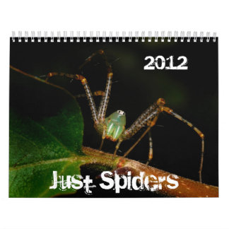 Apenas calendario de las arañas, 2012