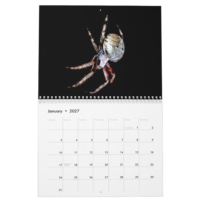Apenas calendario de las arañas, 2012 (Jan 2027)