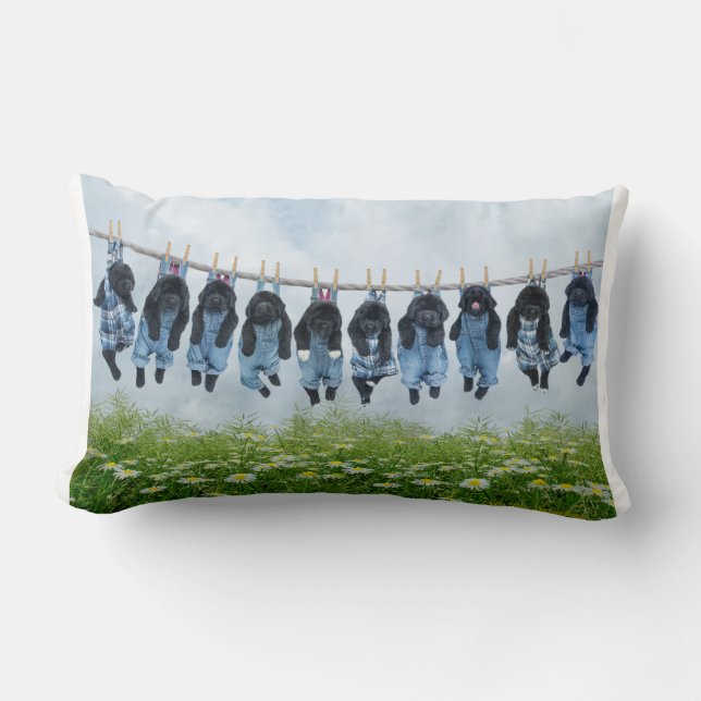 Apenas colgando alrededor de la almohada de tiro (Anverso)