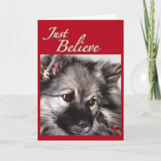 "Apenas crea" la tarjeta de Navidad del Keeshond