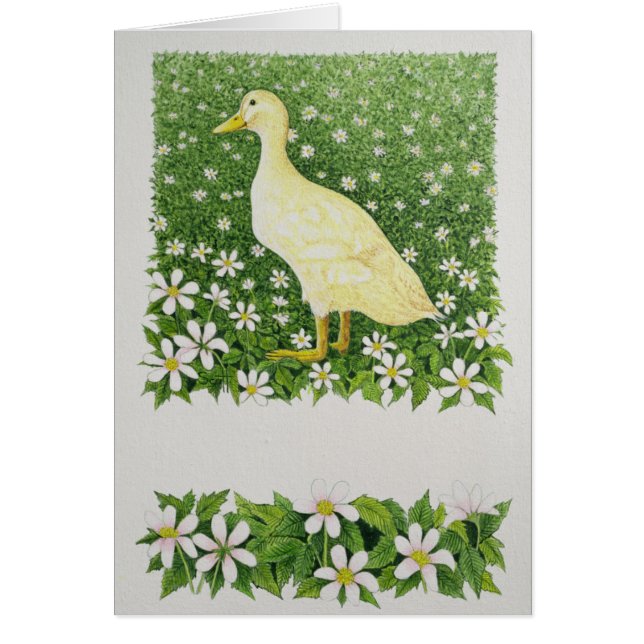 Apenas mirando (Frente)