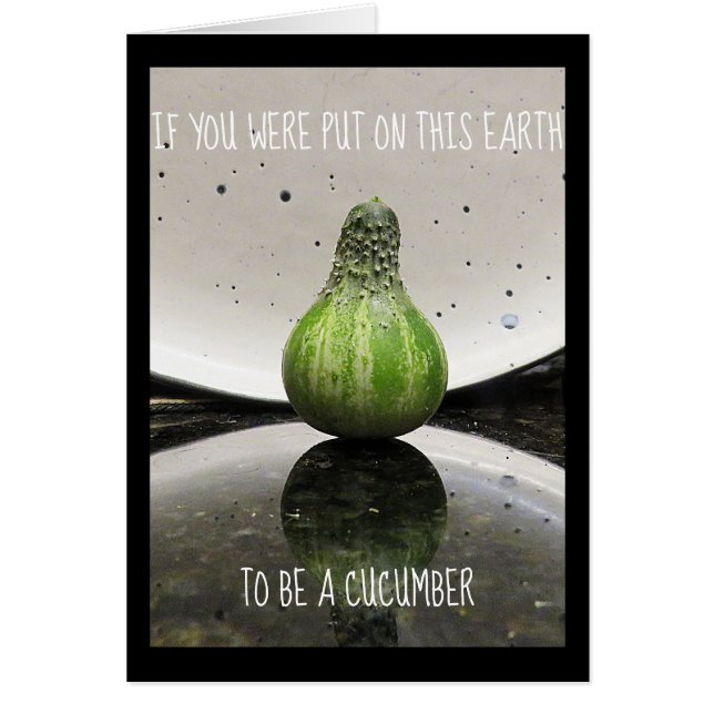 Apenas para la diversión (Frente)