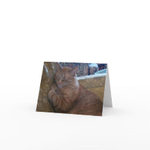 Apenas tarjeta de nota de Chillin