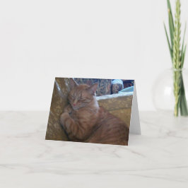 Apenas tarjeta de nota de Chillin