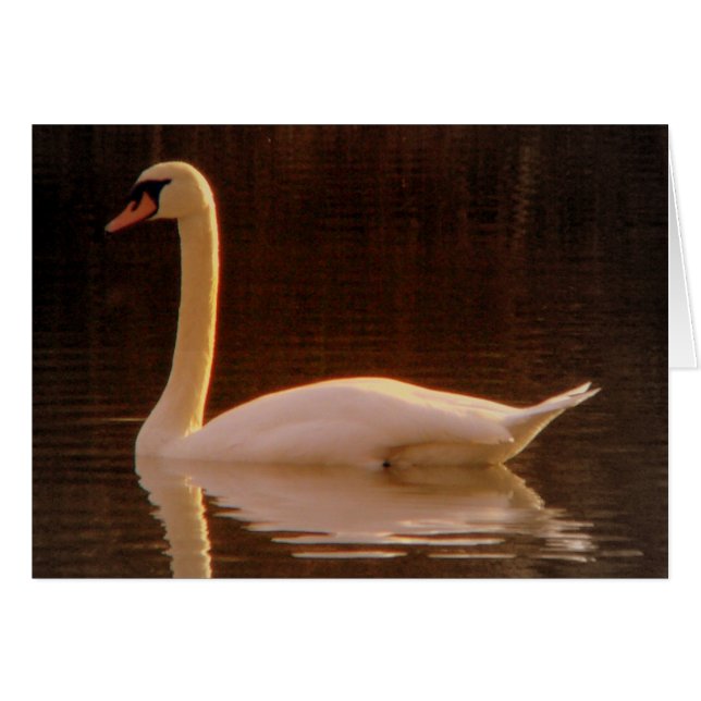 Apenas un sueño (Anverso (Horizontal))