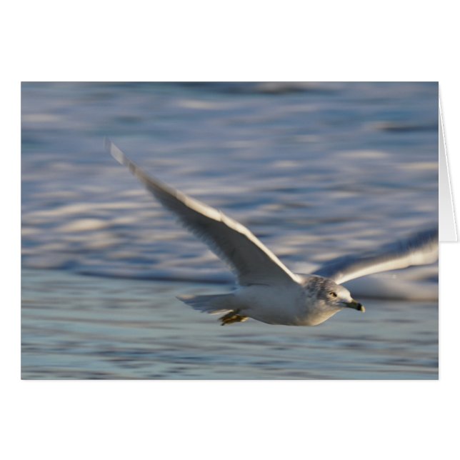 Apenas volando alrededor (Anverso (Horizontal))